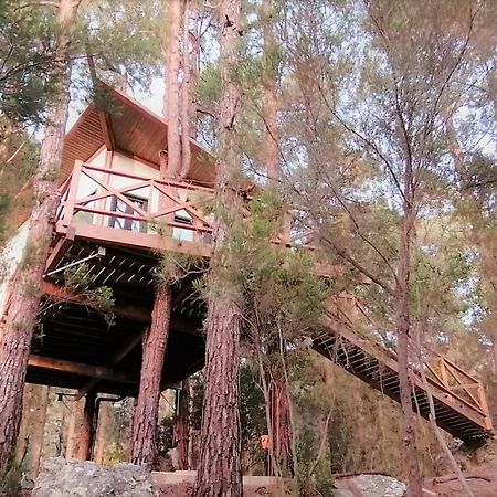 Casita Colgada "Can Lia" La Guancha Zewnętrze zdjęcie