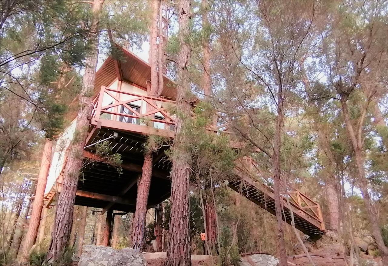 Casita Colgada "Can Lia" La Guancha Zewnętrze zdjęcie