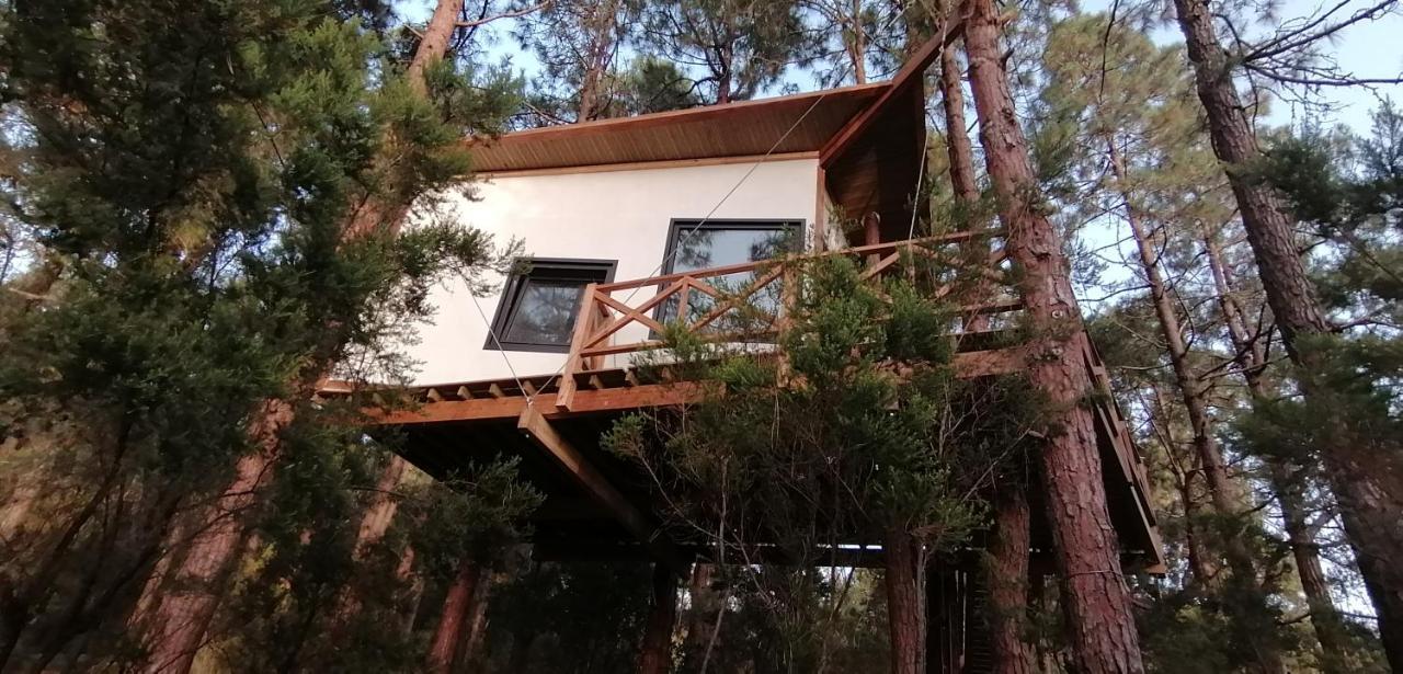 Casita Colgada "Can Lia" La Guancha Zewnętrze zdjęcie