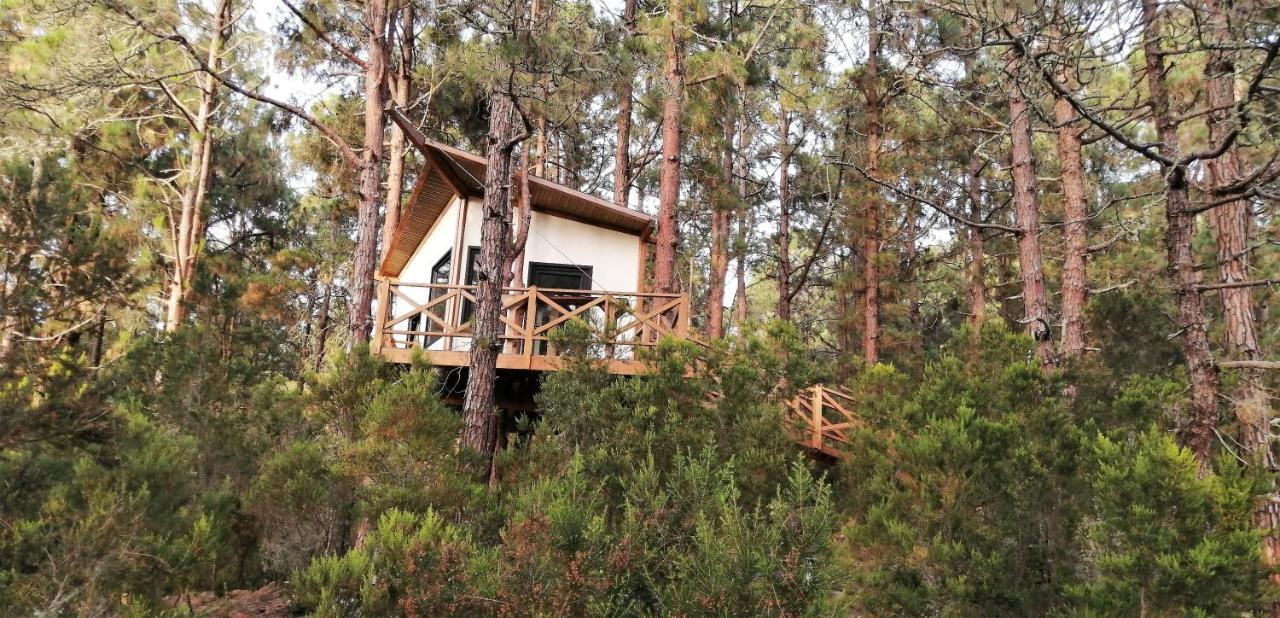 Casita Colgada "Can Lia" La Guancha Zewnętrze zdjęcie